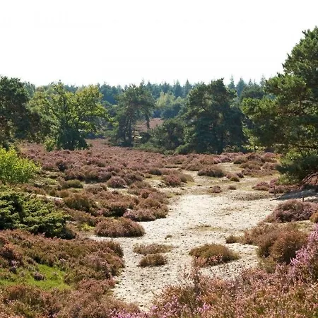 Droomparkchalet Met Overdekt Tuinspeelhuis!