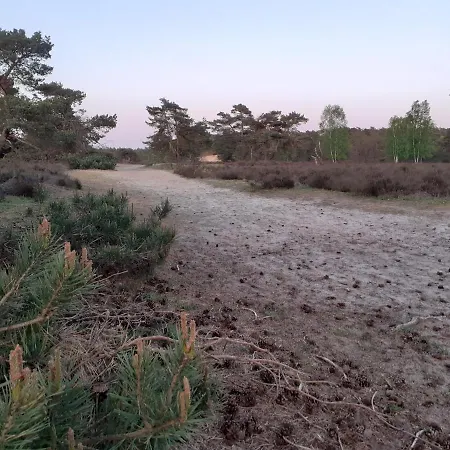 Droomparkchalet Met Overdekt Tuinspeelhuis! בקתה