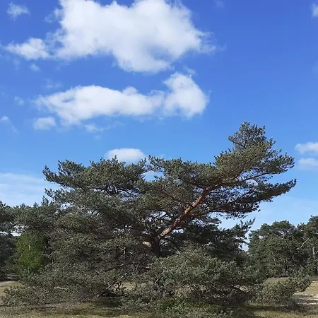 Droomparkchalet Met Overdekt Tuinspeelhuis! אוטרלו